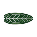 Morrina Forest Green White Art Leaf Rug