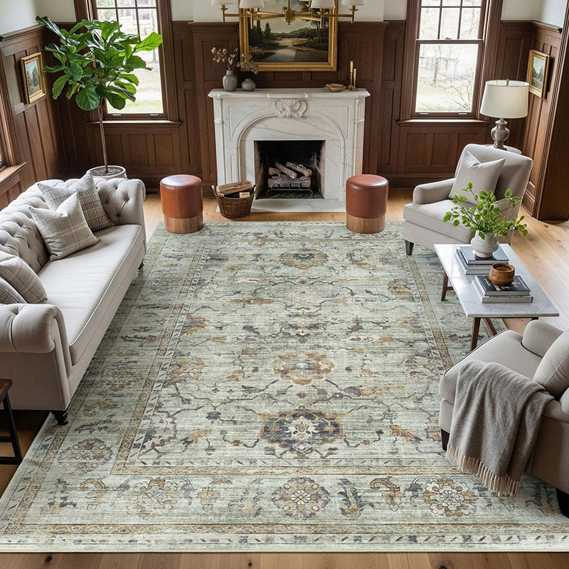 Sorenna Mint Green Neutral Multi-Tone Rug