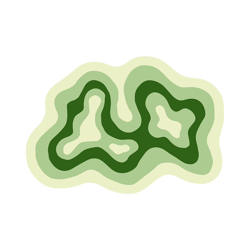 Vian Multi Gradient Green Twin Contour Rug